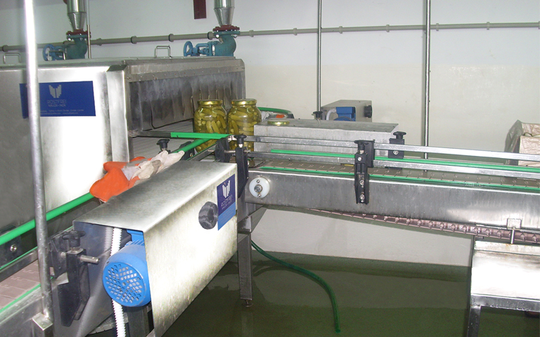Conveyor Belt to Pasteurizer