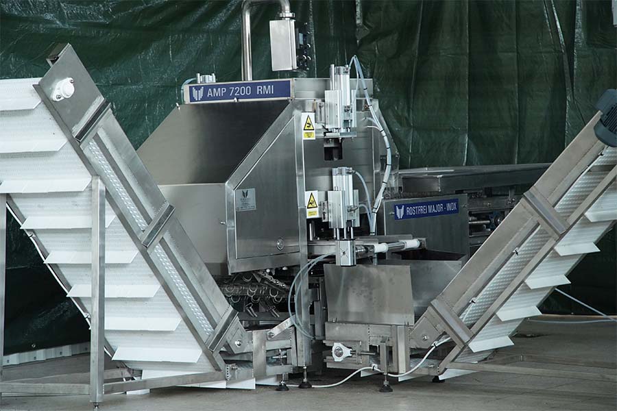 Automatic pepper seed removing machine | Rostfrei Major Inox